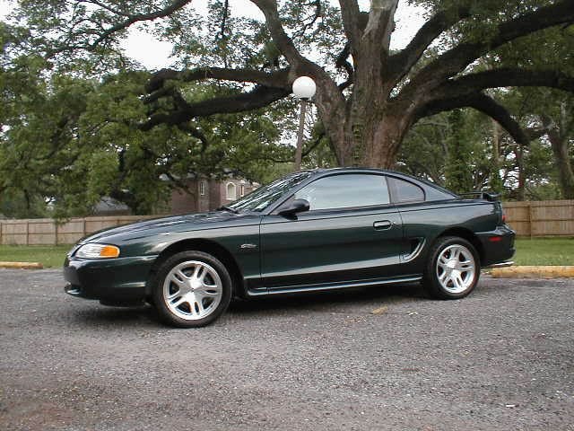 green1.jpg (193318 bytes)